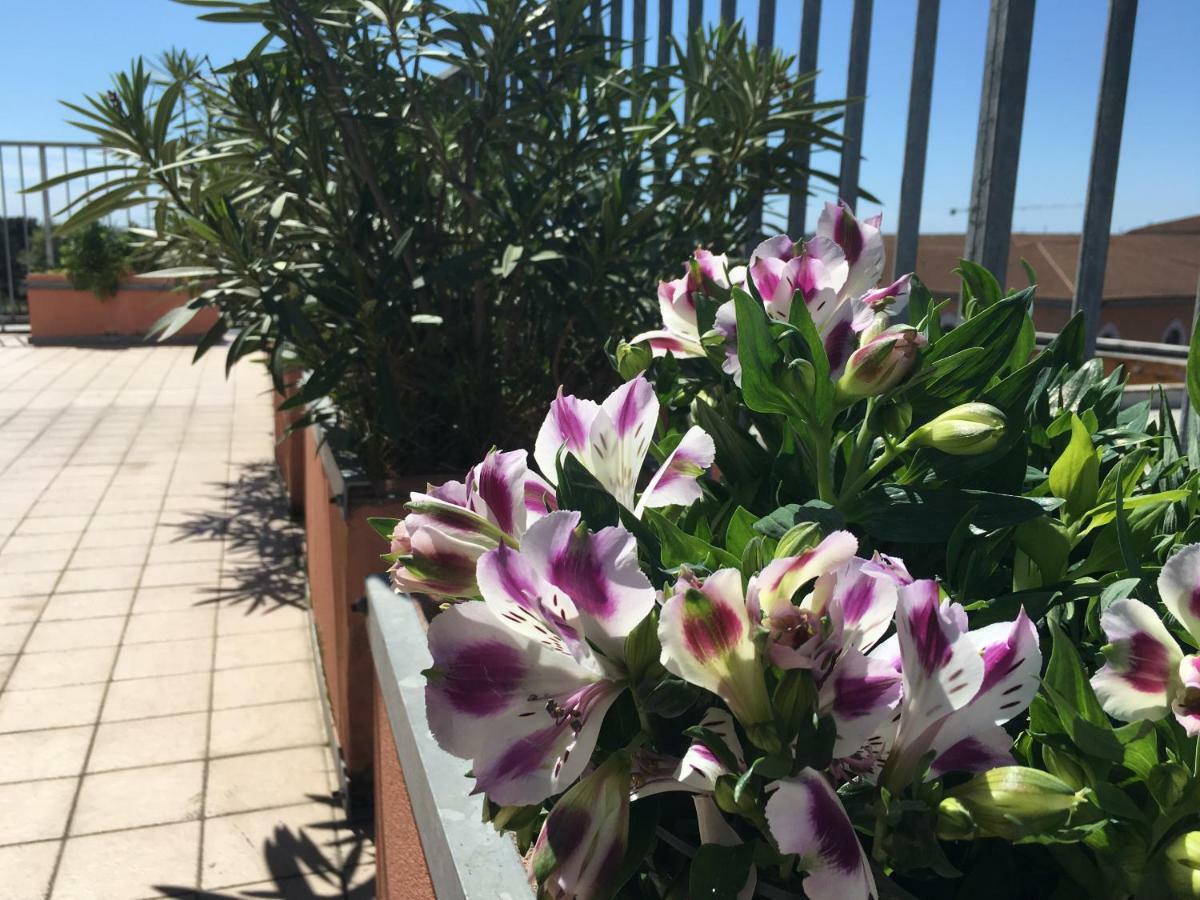 B&B Colombo Pisa Ngoại thất bức ảnh